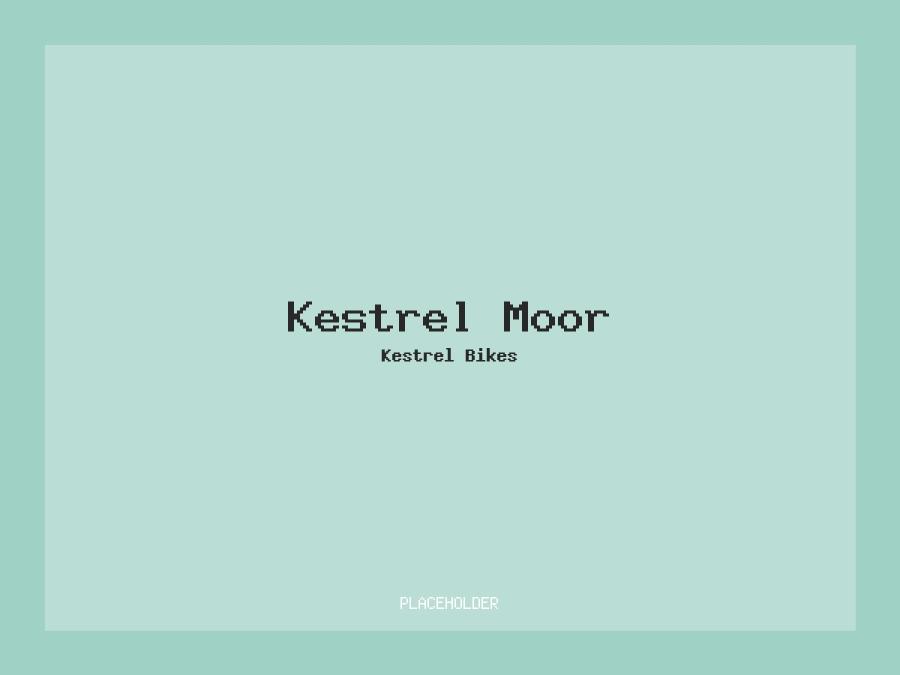 Kestrel Moor – L / Moss