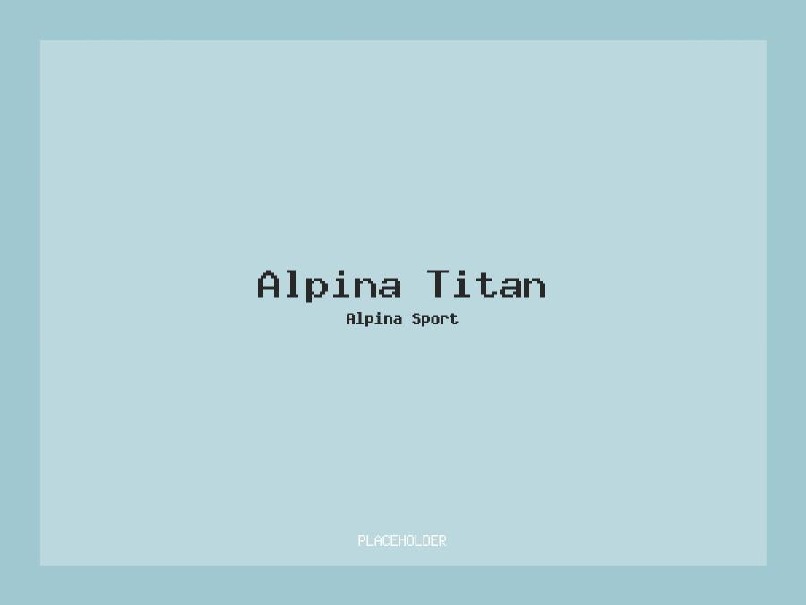 Alpina Titan – 54 / Gunmetal